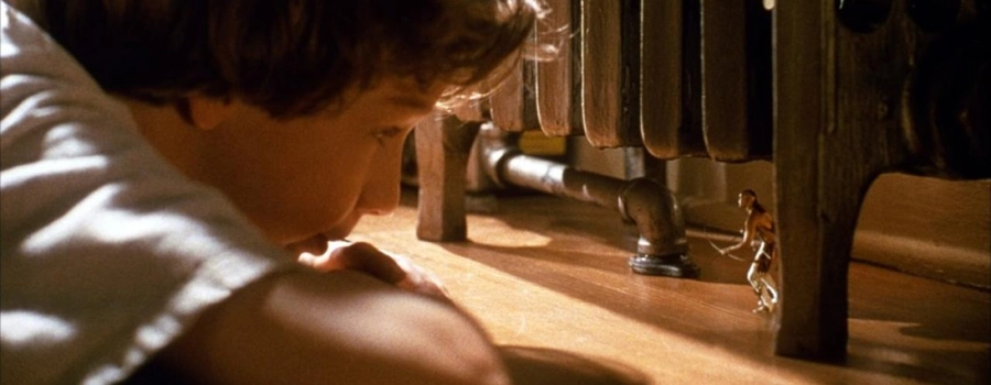 Индеец в шкафу